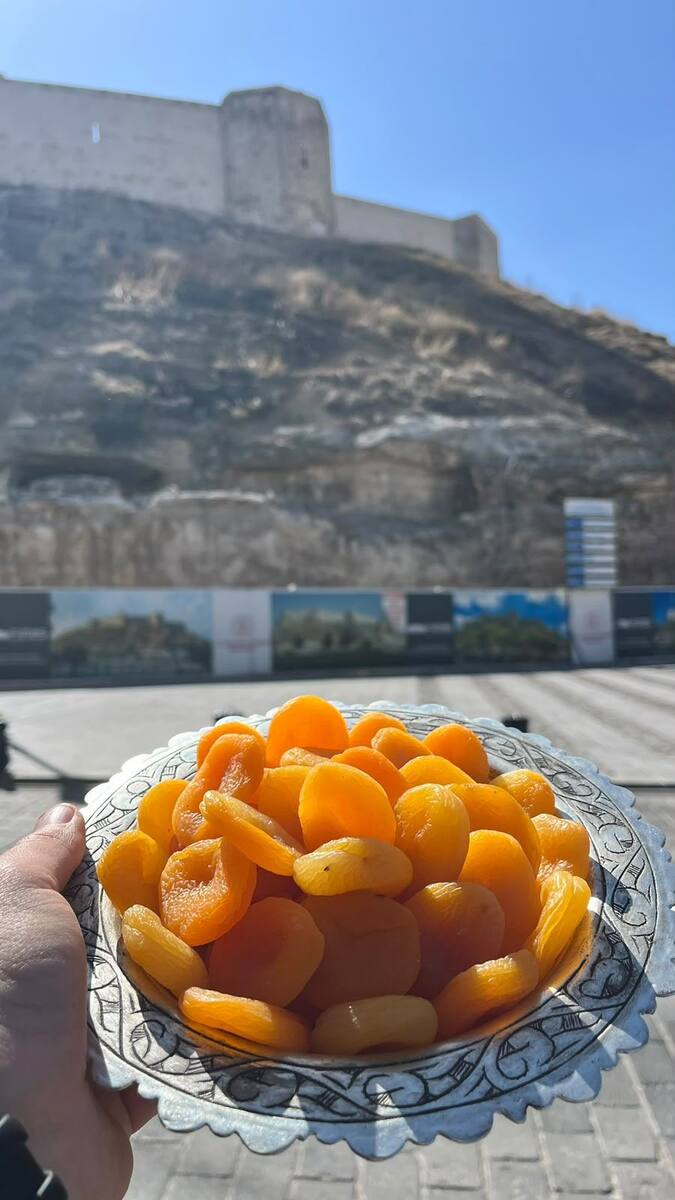 Kabaaşı Kaysı